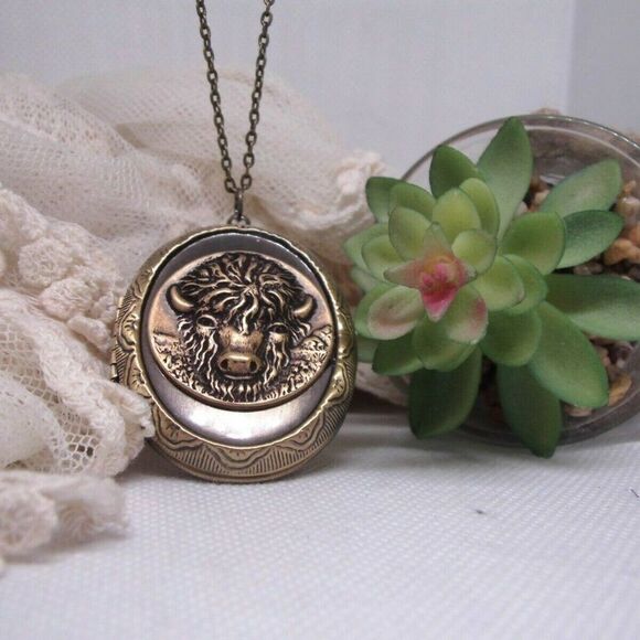 Locket Bronze Buffalo Locket Necklace Keepsake Southwest Native American gift - Picture 3 of 5